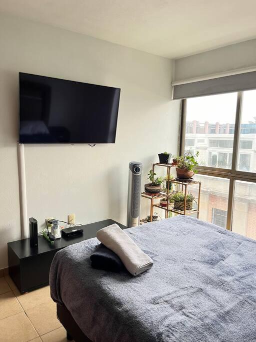 Apartment Living Centro Historico 705